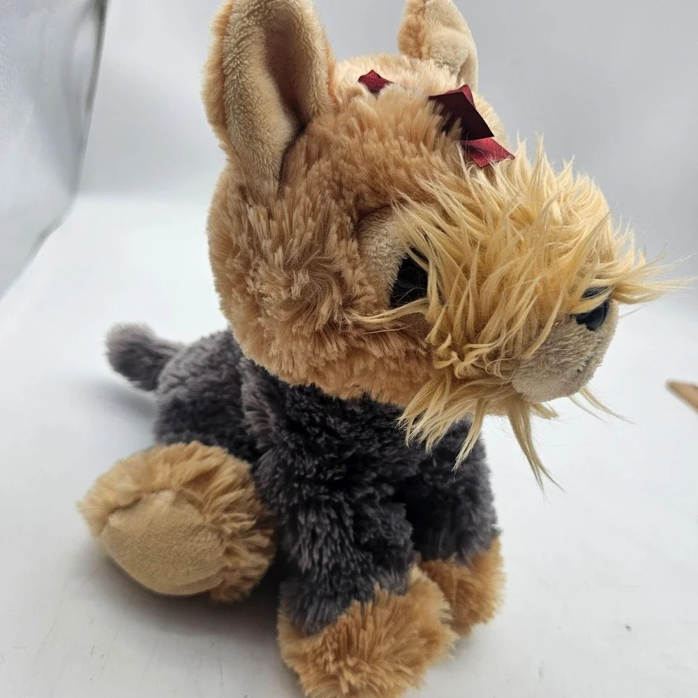 Aurora yorkie dog